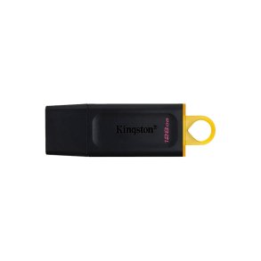 Kingston USB Ngle 128 GB