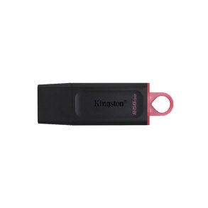Kingston USB Ngle 256 GB