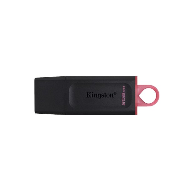 Kingston USB Ngle 256 GB