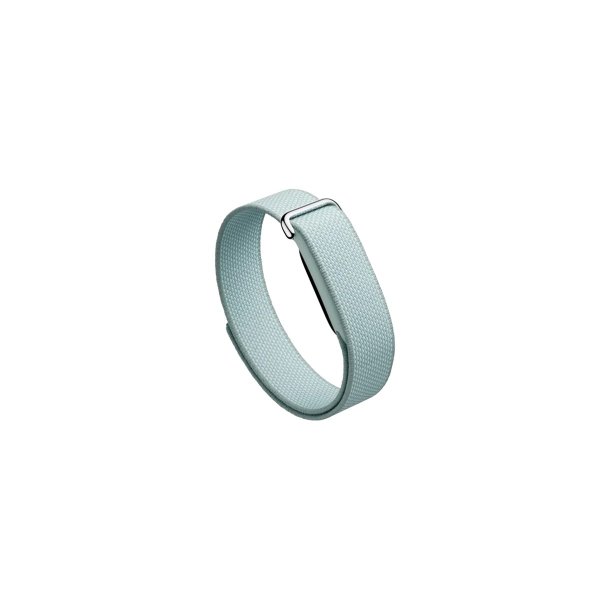 Google Fitbit Air Fog