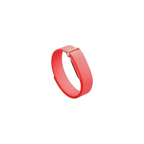 Google Fitbit Air Berry