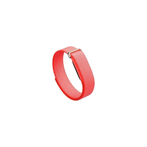 Google Fitbit Air Berry